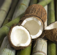 Luxury Car Freshener Set (Black)